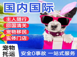 安阳红旗渠机场空运国际宠物托运 【国